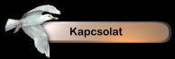 Kapcsolat